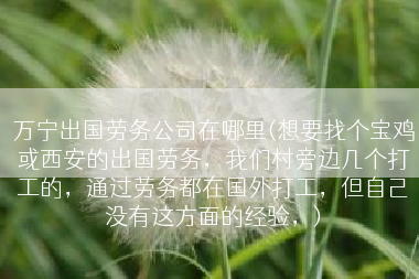 万宁出国劳务公司在哪里(想要找个宝鸡或西安的出国劳务，我们村旁边几个打工的，通过劳务都在国外打工，但自己没有这方面的经验，)
