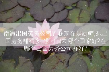南通出国劳务公司？我现在是厨师,想出国劳务赚得多,想问问去哪个国家好?在哪个出国劳务公司办好？