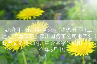 冠鸿国际出国劳务公司(我想出国打工，通过河南濮阳一家出国务工公司报了名（我老家是濮阳的，中介名字是濮阳国际），今年3月中)