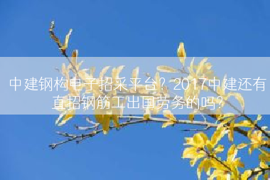 中建钢构电子招采平台？2017中建还有直招钢筋工出国劳务的吗？