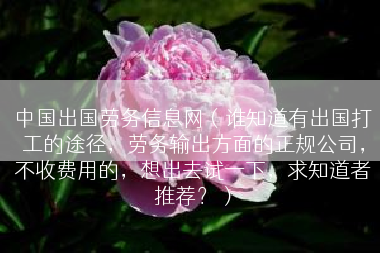 中国出国劳务信息网（谁知道有出国打工的途径，劳务输出方面的正规公司，不收费用的，想出去试一下，求知道者推荐？）