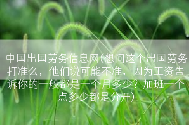 中国出国劳务信息网(想问这个出国劳务打准么，他们说可能不准，因为工资告诉你的一般都是一个月多少？加班一个点多少都是分开)