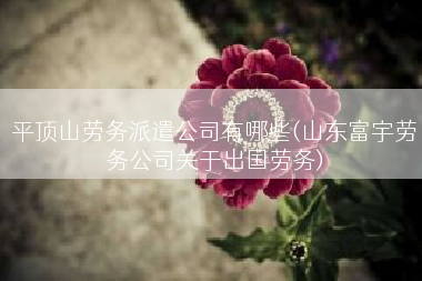 平顶山劳务派遣公司有哪些(山东富宇劳务公司关于出国劳务)