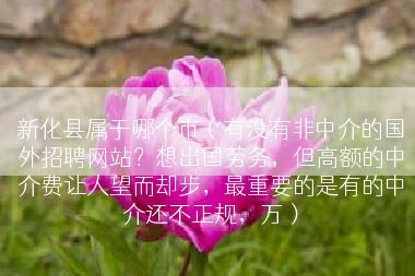 新化县属于哪个市（有没有非中介的国外招聘网站？想出国劳务，但高额的中介费让人望而却步，最重要的是有的中介还不正规，万）