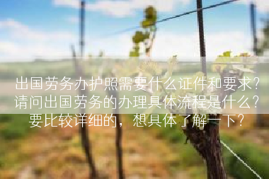 出国劳务办护照需要什么证件和要求？请问出国劳务的办理具体流程是什么？要比较详细的，想具体了解一下？