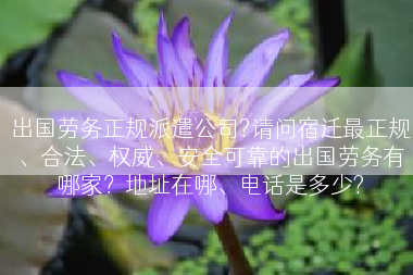 出国劳务正规派遣公司?请问宿迁最正规、合法、权威、安全可靠的出国劳务有哪家？地址在哪、电话是多少?