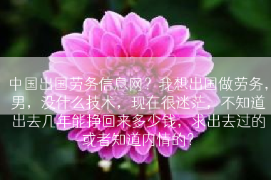 中国出国劳务信息网？我想出国做劳务，男，没什么技术，现在很迷茫，不知道出去几年能挣回来多少钱，求出去过的或者知道内情的？