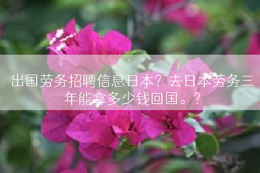 出国劳务招聘信息日本？去日本劳务三年能拿多少钱回国。？