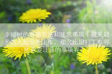 幸福树的养殖方法和注意事项（越来越多的人赴国外工作，那么出国打工有哪些需要注意的事项呢？）