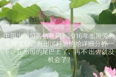 中国出国劳务信息网？2016年出国劳务去哪里好，有出国经验的给详细分析一下，在出国的尾巴上了，再不 出去就没机会了？