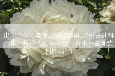 出国劳务一年发工资的信得过吗(去迪拜工作，每月一万多RMB工资水平去那边划算吗？)