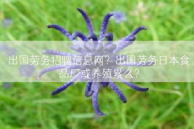 出国劳务招聘信息网？出国劳务日本食品厂或养殖累么？
