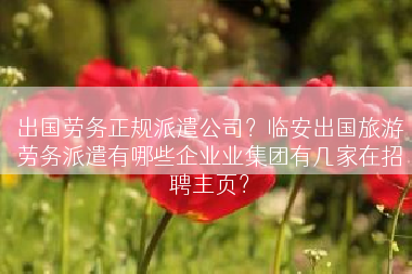 出国劳务正规派遣公司？临安出国旅游劳务派遣有哪些企业业集团有几家在招聘主页？