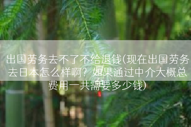 出国劳务去不了不给退钱(现在出国劳务去日本怎么样啊？如果通过中介大概总费用一共需要多少钱)
