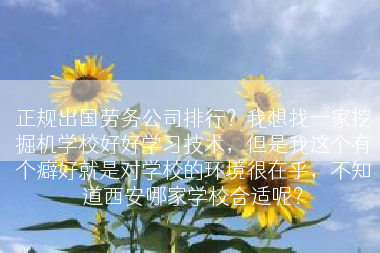 正规出国劳务公司排行？我想找一家挖掘机学校好好学习技术，但是我这个有个癖好就是对学校的环境很在乎，不知道西安哪家学校合适呢？