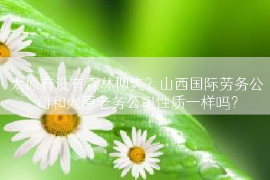 太原有没有森林柳爽？山西国际劳务公司和太原老务公司性质一样吗？