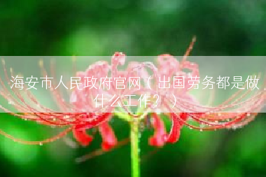海安市人民政府官网（出国劳务都是做什么工作？）