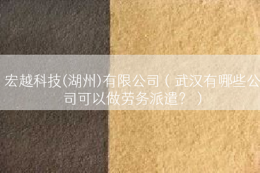 宏越科技(湖州)有限公司（武汉有哪些公司可以做劳务派遣？）