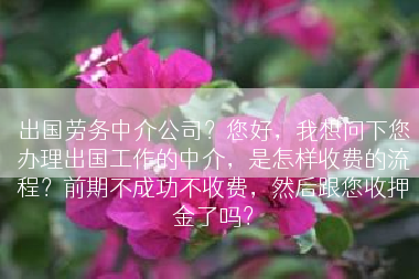 出国劳务中介公司？您好，我想问下您办理出国工作的中介，是怎样收费的流程？前期不成功不收费，然后跟您收押金了吗？