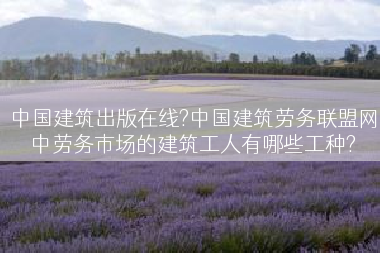 中国建筑出版在线?中国建筑劳务联盟网中劳务市场的建筑工人有哪些工种?