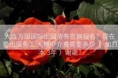 大连万国国际出国劳务官网报名？现在要出国务工 大概中介费需要多少 （ 如日本 3年） 谢谢？