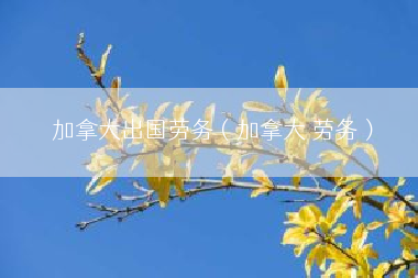 加拿大出国劳务（加拿大 劳务）