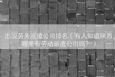 出国劳务派遣公司排名（有人知道陕西哪里有劳动派遣公司吗？）
