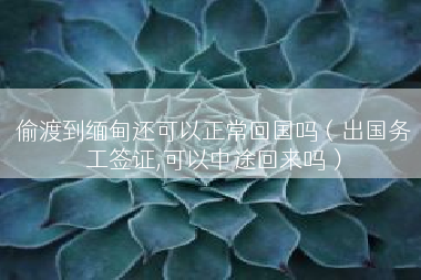 偷渡到缅甸还可以正常回国吗（出国务工签证,可以中途回来吗）