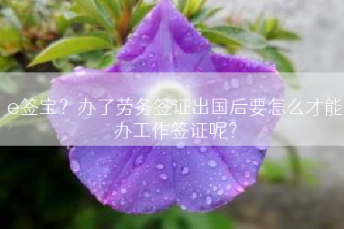 e签宝？办了劳务签证出国后要怎么才能办工作签证呢？