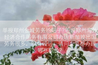 举报郑州金城劳务的贴子?听说郑州海外经济合作服务有限公司办理新加坡出国劳务很多，很有诚信，请问主要都办理哪些职位?