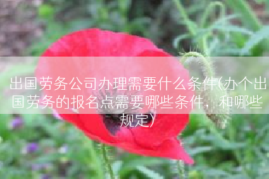 出国劳务公司办理需要什么条件(办个出国劳务的报名点需要哪些条件，和哪些规定)