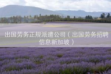 出国劳务正规派遣公司（出国劳务招聘信息新加坡）