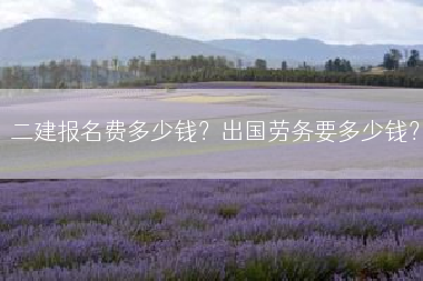 二建报名费多少钱？出国劳务要多少钱？