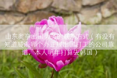 山东奥亭出国劳务的联系方式（有没有知道威海哪个办正规出国打工的公司靠谱，本人明年打算去韩国）