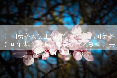 出国劳务人员工伤赔偿标准？出国劳务许可证怎么办理，都需要什么资料 ，去什么部门？谢谢？