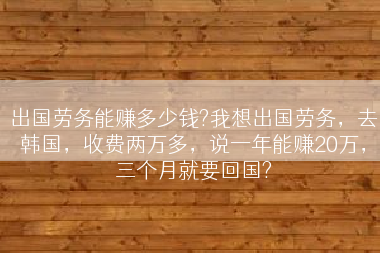 出国劳务能赚多少钱?我想出国劳务，去韩国，收费两万多，说一年能赚20万，三个月就要回国?