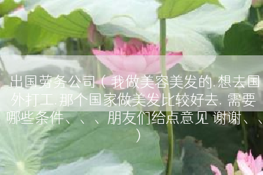 出国劳务公司（我做美容美发的.想去国外打工.那个国家做美发比较好去. 需要哪些条件、、、朋友们给点意见 谢谢、、）