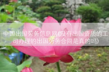 中国出国劳务信息网(没有出国资质的工司办理的出国劳务合同是真的吗)