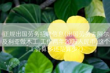 正规出国劳务招聘信息(出国劳务去阿尔及利亚做木工,工作两年20万人民币,这个工资算多还是算少?)