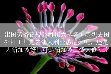 出国劳务正规公司10大排名（我想去国外打工！是去澳大利亚悉尼好呢，还是去新加坡好！可是新加坡工资太低？）