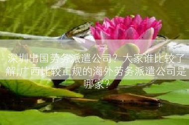 深圳出国劳务派遣公司？大家谁比较了解,广西比较正规的海外劳务派遣公司是哪家？