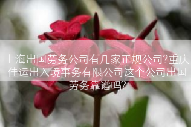 上海出国劳务公司有几家正规公司?重庆佳运出入境事务有限公司这个公司出国劳务靠谱吗?