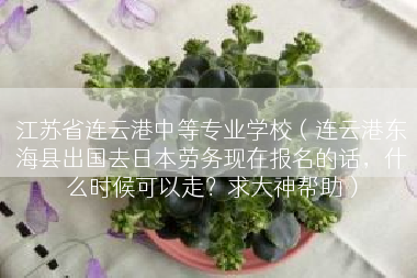 江苏省连云港中等专业学校（连云港东海县出国去日本劳务现在报名的话，什么时候可以走？求大神帮助）