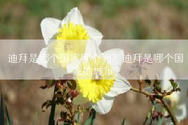 迪拜是哪个国家哪个洲？迪拜是哪个国家的城市？