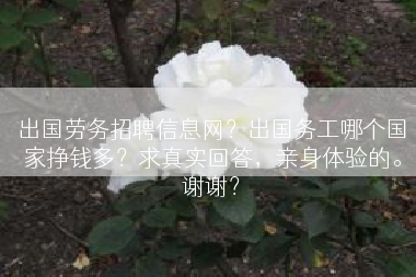 出国劳务招聘信息网？出国务工哪个国家挣钱多？求真实回答，亲身体验的。谢谢？