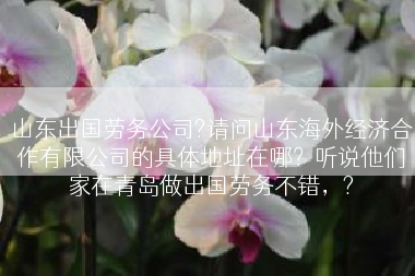 山东出国劳务公司?请问山东海外经济合作有限公司的具体地址在哪？听说他们家在青岛做出国劳务不错，?