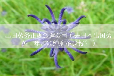 出国劳务正规派遣公司（去日本出国劳务一年，能纯剩多少钱？）