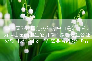 华天国际出国劳务？我户口是阳江的，办理出国的出生证明是不是在阳江公证处就可以公证处了？需要省级公证吗？