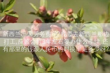 新西兰出国劳务费用?我要去新西兰那边打工,应该会打3年左右要办什么手续,还有那里的钱跟人民币的对换率是多少呀?