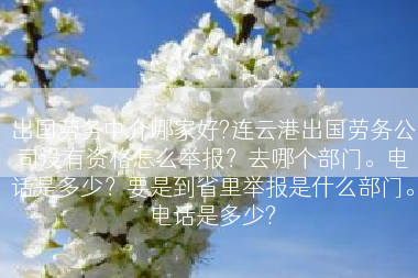 出国劳务中介哪家好?连云港出国劳务公司没有资格怎么举报？去哪个部门。电话是多少？要是到省里举报是什么部门。电话是多少?